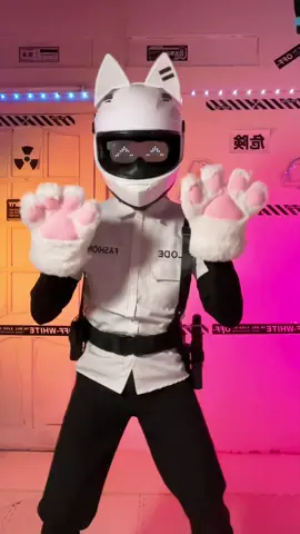 #fyp #cat #cute #fypシ゚ 