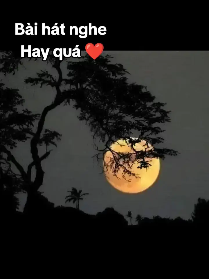 #nhachaymoingay  #❤️❤️❤️ 