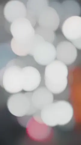 🫶❤️Sohagmim,❤️🫶#foryou #প্রবাসীর_বউ✈️👰 #কাঠগোলাপ🥀🌹🥀🌹 