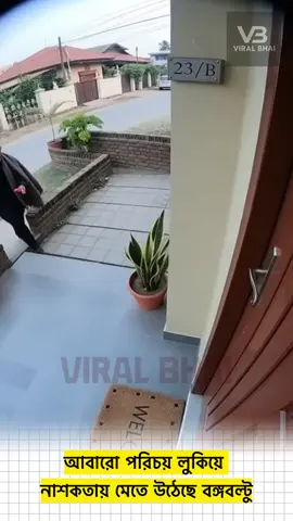 আবার ও শেখ মজিবুর আসছে 😫😫#foryoupage #foryou 