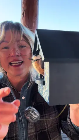 Long winded post. First sharing the chickadee. Second let’s talk pricing and how to sell… never fun and slightly complex. My goal in doing all of this is to share and be transparent about what it’s like to be passionate about making art and the entering into selling my pieces. I would truly appreciate all of your feedback. Price. Value. Approach and platform to sell. This could be brutal or I’ll get good feedback. Let’s see what happens! I’d also love to hear from other artist who have been doing this little longer than myself!  #artist #sellingart #makingart #birds #crafting 