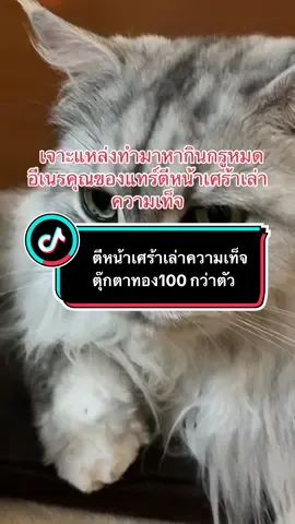 #เจาะแหล่งกรูทุกที่ #เห็นแก่เงินมากกว่าความถูกต้อง #หน้าเงิน #หูดข้าวสุก 