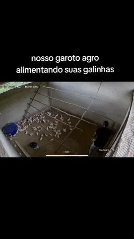 se você está comendo ovo hoje agradeça a davi brito  #davibrito #floptok #Meme 