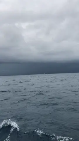 Wayae baratane teko wo💦#promomakanharian #nelayanjuwanapati #nelayansarang #nelayanindonesia #fyp 