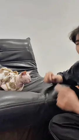 Em lạc vào khu rừng hoa sao mặt em nhăn z ? #duongg #nangamtrongtim #onerpmvn #lacvaokhurunghoa 