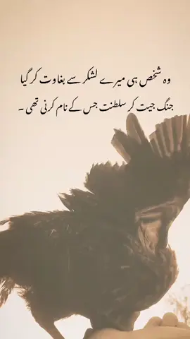 Don't under review My video Tiktok team #foryou #viralvideos #fyp #grow #foryoupage❤️❤️ @TikTok skills