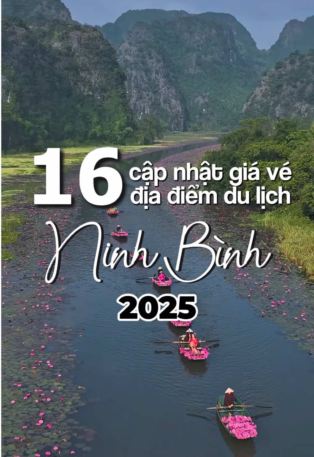 Giá vé các điểm du lịch hot hít Ninh Bình đây rùiii 💁🏻‍♀️ Cả nhà iu lưu lại và lên kế hoạch Ninh Bình nha #homestayninhbinh #vietxuahomestay #dulichninhbinh #comboninhbinh #reviewhomestay 