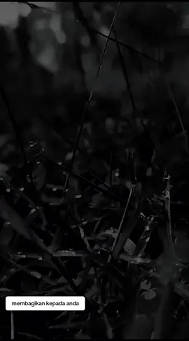 selamat malam😊🥰 #fypシ゚ 