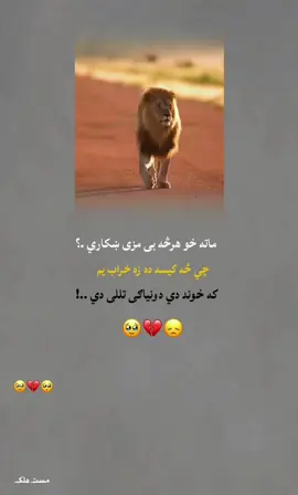 #creatorsearchinsights #foryou #foryoupage 