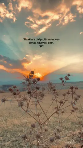 #storylikvideolar #eyupcelikk12 #sözbırakın📌 