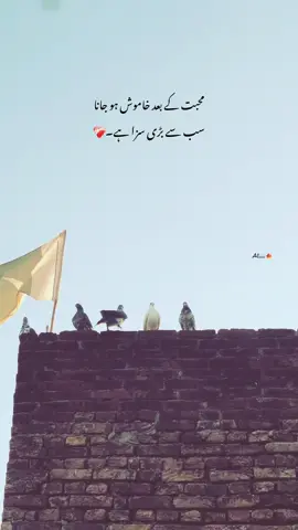 محبت 😣❤️‍🩹#accountunfreeze #poetrystatus #dontunderreviewmyvideos #viralaccount✔ #fypシ゚ 