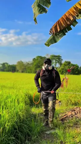 Masih dengan rutinitas  yang sama 🥵#petaniindonesia🇮🇩🇮🇩🇮🇩🌿🌿 #petanipadi #petanimilenial #petanimuda #petaniracing 