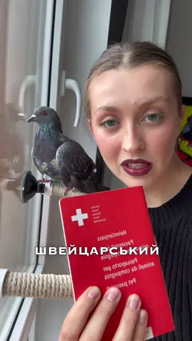 Голуб Юра з Троєщини ( м. Київ ) отримав швейцарський паспорт 😎 А чого добився ти? 😅 