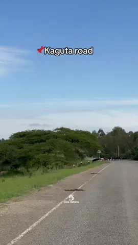 Beauty #suresafaris #fyp #visituganda #roadtrip #goviral 