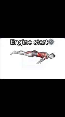 Elbow pain sucks . . . . . #calisthenics #streetworkout #calisthenicsworkout #calisthenicsreaction #GymTok