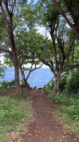 ##tiktok #keşfet #bali #nusapenidaisland 