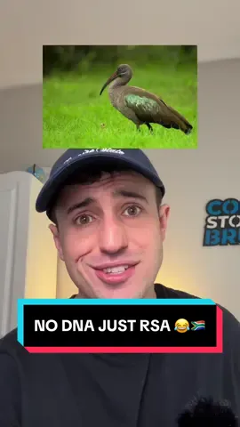 South Africans wake up earlier than any other country in the world 😱🇿🇦 #southafrica #southafricatiktok🇿🇦 