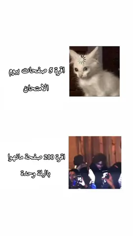 ياخي المانهوا جميله جدا #مانهوا #animeedit #adventurecat #tiktok #jojosbizarreadventure 