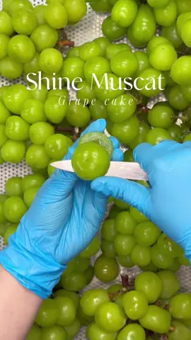 น้องพวงองุ่นสีเขียวน่ารักใจเหลว ไส้แน่นๆค่าา 🌱🫶🏻✨ #เค้กองุ่น #เค้กโฮมเมด #เค้กผลไม้กรอบ #คาเฟ่สยาม #fyp 