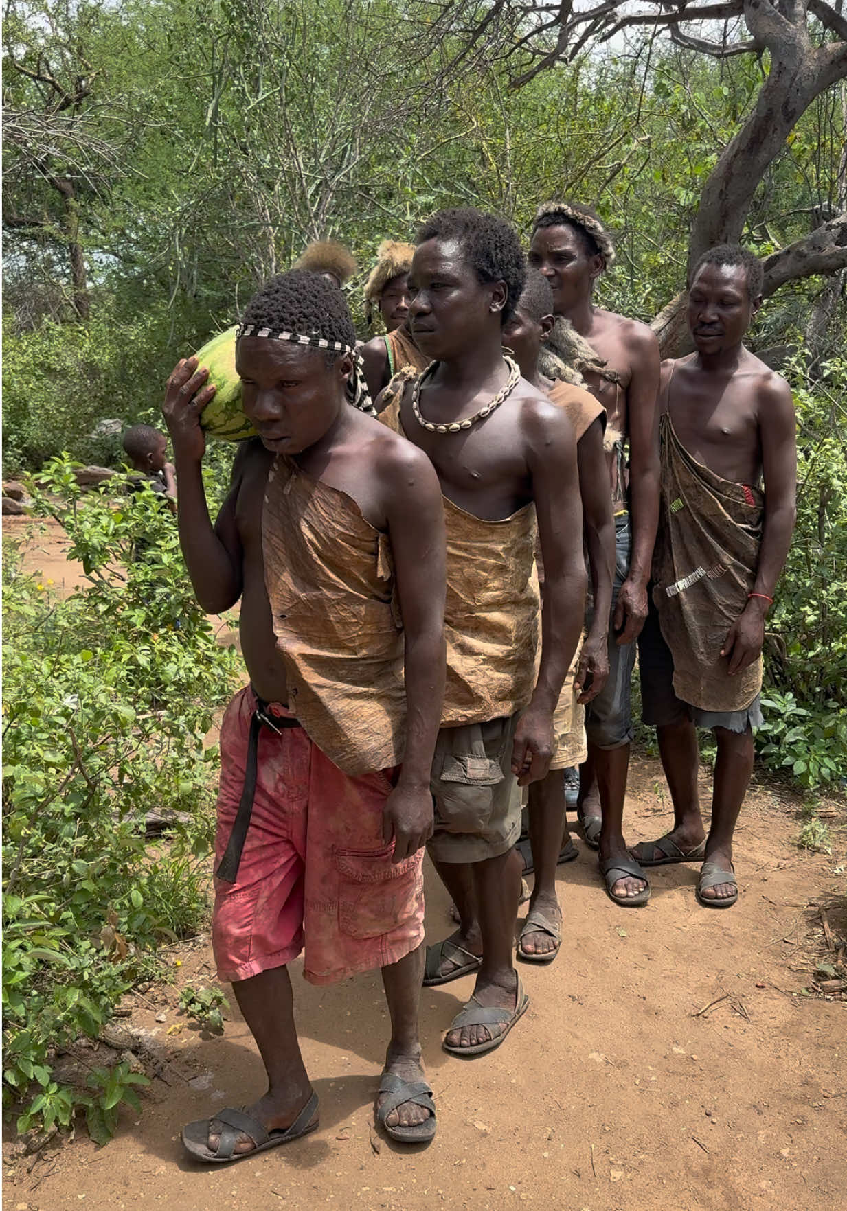 Watermelon party at Chaba’s home! 🍉😇 Chaba and his friends with family are having a watermelon feast today inside his traditional Hadzabe hut — made from grass, twigs, and branches, all naturally found in the wild! 🌿 They sit in a circle, chatting and laughing while enjoying the juicy fruit. Later, everyone steps outside holding the watermelon skins, and Dudukwe — as always — takes the lead showing where to throw them away 😆🍉 #watermelon🍉 #chaba #partytime #fruitsnacks #watermelonking 