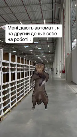 #Meme #MemeCut #польша #rek #work 