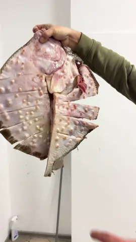 Calcanescu de la Dragoi facut la Baicoi la mare fitza de fratele Aditza!