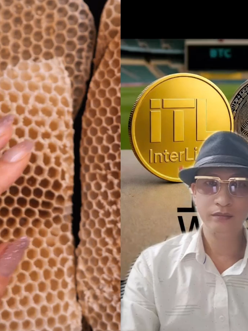 Bitcoin thiếu quỹ phát triển nên khó bền vững. InterLink có kho dự trữ do DAO quản trị, giúp tái đầu tư, hỗ trợ cộng đồng và tạo giá trị lâu dài cho hệ sinh thái. #InterLink #ITLG #ITL #InterLinkNetwork