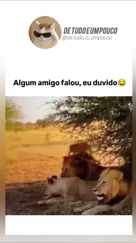 não tem como não rir🤣🤣🤣#vídeosengraçados #viraliza #curteecompartilha #meme #viralmemes 