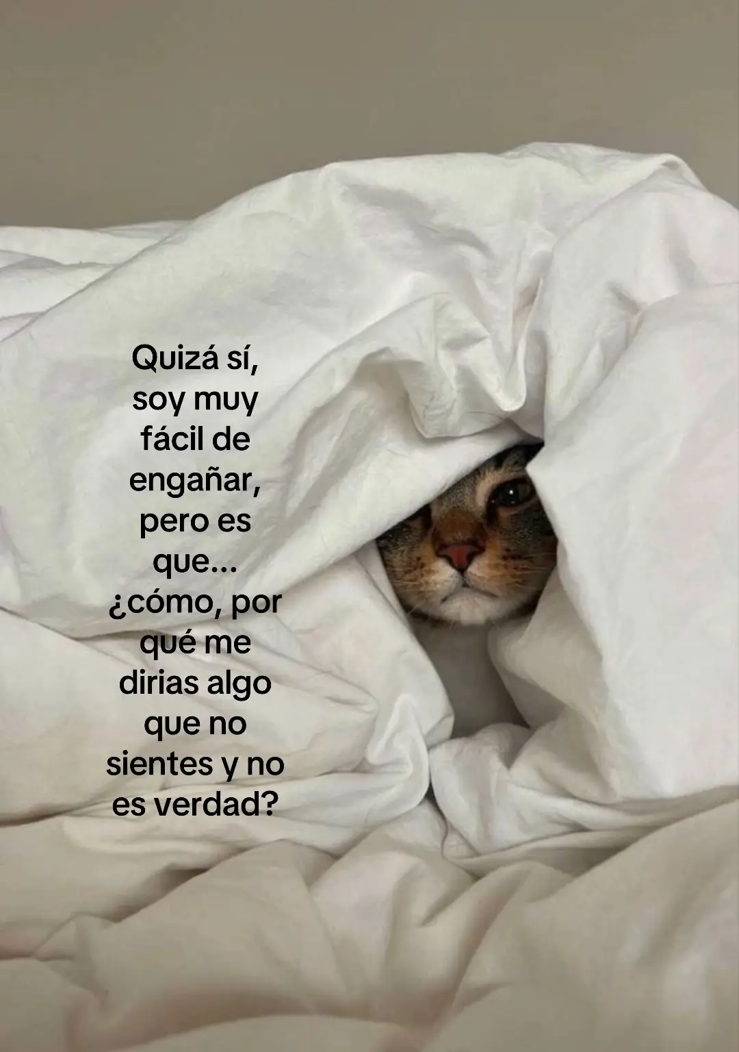 #zxycbaシ #indentificarse #paratiiiiii #fyppp 