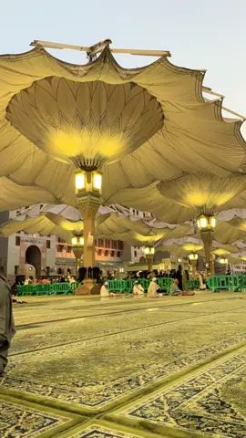 Rindu🥹 #madinah #masjidnabawi #saudiarabia🇸🇦 #unrah #makamrasulullahsaw 