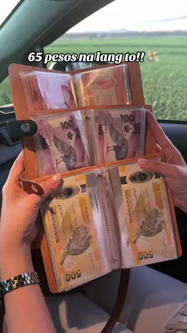 Nakahanap ako ng murang ipon challenge binder na no need na tupiin ang pera 💸 #iponchallenge #100envelopechallenge #100envelopesavingschallenge #fyp 