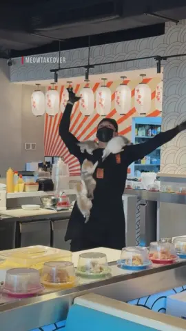 زيارة جيش المياو لافضل مطعم سوشي @IDŌ SUSHI  سير السوشي 10/10 🍣😾💪 Kittens taking over the running Sushi restaurant and pull in Bugatti NO KITTENS WERE HARMED THEY ALL AI #cattok #kittens #ميو #جيش_المياو 