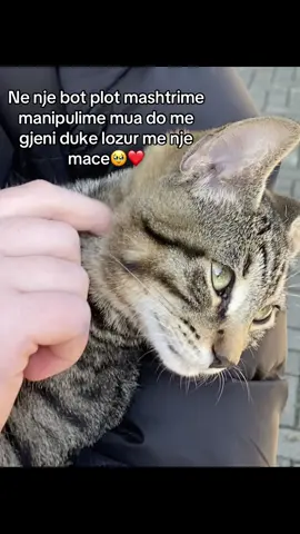 Macii🥹#fyppppppppppppppppppppppp #onthisday #onlyforyou 