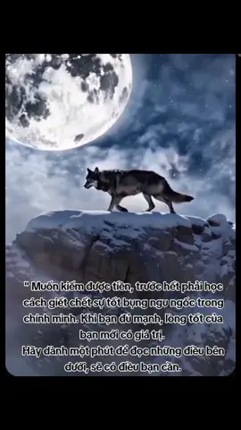 1 Dám trở mặt với bất kỳ ai khi họ vượt qua giới hạn của bạn. 2 Trước mặt người lớn không còn rụt rè, với người không ưa thì thẳng thắn thể hiện thái độ. 3 Nói ít lạ, càng nói ít càng giữ được sức mạnh. 4 Đừng quan tâm người khác mỉa mai, chỉ trích hay coi thường bạn, kể cả cha mẹ họ hàng bạn bè. Hãy dồn toàn bộ năng lượng vào việc khiến bản thân tốt hơn. 5 Không để cùng một chuyện làm mình tổn thương hai lần. 6 Đừng sống vì cái nhìn của người khác, hãy sống sao khiến bạn thấy vui thấy đáng. 7 Đừng trông đợi ai đó sẽ yêu bạn hay đối tốt với bạn, bạn đã là người lớn hãy tự học cách yêu lấy mình.  8 Học cách im lặng, biết khi nào nên ra tay, làm nhanh làm chuẩn. 9 Đừng quá thân với bất kỳ ai, bạn sẽ không biết khi nào họ trở mặt. 10 Đừng chỉ làm người tốt, đôi khi phải giả ác để bảo vệ chính mình. 11 Người càng có khí thế càng được tôn trọng. 12 Thà nói thẳng trước, còn hơn để rắc rối về sau. 13 Đừng sợ mất lòng vài người, sợ nhất là cả đời phải sống khom lưng. 14 Đừng đặt quá nhiều kỳ vọng vào bất cứ ai, kể cả người thân hay con cái, không mong đợi sẽ không thất vọng. 15 Trở nên mạnh mẽ chính là câu trả lời cho mọi vấn đề, bạn yêu mới bị bệnh, nghèo mới bị khinh. 16 Học cách giữ cảm xúc ổn định, người mạnh luôn tĩnh như nước, người yếu mới dễ giận dữ. 17 Đừng coi trọng các mối quan hệ quá mức, không bạn bè bạn vẫn sống tốt nếu bạn đủ năng lực. 18 Ngoại trừ bệnh tật, mọi đau khổ bạn cảm nhận được đều là do nhận thức sai lầm của chính mình, khi tâm bình thế giới liền yên. 19 Cắt bỏ những mối quan hệ vô ích. 20 Đừng oán quá khứ, đừng sợ tương lai. Chỉ nhìn hiện tại mà tiến lên. 21 Đừng thương hại ai, đừng tin ai quá sâu, đừng kể khổ với ai. 22 Biết giấu tài, giữ bình tĩnh không khoe khoang kiêu ngạo. 23 Việc nhỏ có thể bỏ qua, nhưng việc lớn phải dứt khoát. 24 Trước mặt người thân, đôi khi nên giả nghèo để họ giữ được thể diện. 25 Đừng dễ tin người, tin tưởng là thứ xa xỉ, hãy dùng đúng chỗ. 26 Đừng kể khổ, đừng phơi bày mâu thuẫn cá nhân cho người khác. 27 Đừng tranh cãi vô ích, chỉ phản bác khi có lợi ích thực tế. 28 Giữ sự bí ẩn, bạn sẽ tự nhiên có khí chất.  29 Học cách khen đúng lúc, biết khi nào nên im lặng. 30 Với người không tôn trọng bạn, hãy dừng lại ngay. 31 Nói mềm làm cứng, giữ bình tĩnh trong mọi việc. 32 Đừng để cơn giận dắt bạn đi, vì giận dữ sẽ hạ thấp trí tuệ. 33 Không kể quá khứ cho ai, vì chẳng ai thật lòng quan tâm. 34 Đừng lo chuyện thiên hạ, làm tốt việc của mình đã đủ khó rồi. 35 Tin rằng mọi tài nguyên trên đời đều có thể thuộc về bạn, nếu bạn đủ giỏi. 36 Đừng cố thay đổi người khác, chỉ cần chọn đúng người để đi cùng. 37 Đừng suốt ngày than tôi không có tiền. 38 Đừng suốt ngày than tôi không có tiền, tôi không có thời gian.  39 Sửa mọi thói quen khiến bạn mất giá trị, kể cả những điều nhỏ nhặt nhất. 40 Kẻ yếu sợ quyền thế, kẻ mạnh khiến người khác tự nhiên kính phục, với người dưới hãy nói bằng tình, với người trên nói bằng lợi. 41 Đừng cảm tính, đừng mơ mộng, đừng trông người khác mua giấc mơ của bạn. 42 Đừng hạ mình, cũng đừng đánh giá thấp bản thân, hãy làm một người tốt có gai, chưa đủ cứng thì đừng vội nhân hậu. Chúc bạn thành công.