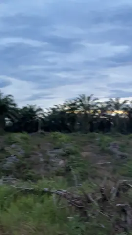 satu klip nya🤩 #apajoko🤙 #stylekt🔫🔫 #scoopymodifikasi #platba #fyp 