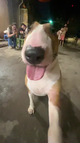 Đu trend 🤣🤣🤣#tamcongchua #mrgold @Quán Nướng Trong Ngõ 