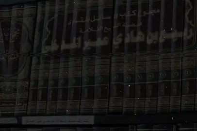الشيخ ربيع المدخلي رحمه الله  #السلفية_الفهم_الصحيح_للكتاب_والسنة #fyyp #نشر_العلم 