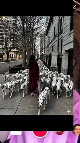 how to do this trending puppy animal photo edit puppy ai new trend tutorial how to make a puppy ai trend tutorial dalmatian dog ai trend tutorial living my dream life living my dream life with the puppy trend dalmatian dog ai dalmatian dog gemini ai tutorial how to create a dalmatian dog with gemini ai how to make an ai image of dalmatians surrounding you ai tutorial puppies surrounding you how to create an image of puppies surrounding you with gemini ai #puppy #geminiai #capcut  #capcutpioneer #capcutforus 