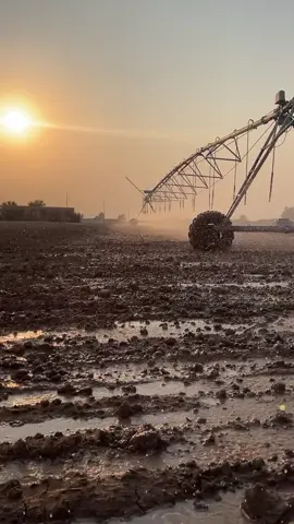 #مندلي #الندا #النداوي🦇 