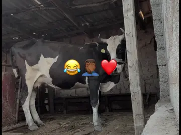 love sar😂❤️ #fypシ゚vira #viewsproblem💔😔💔 #germennotevas #sanjo🇦🇷 