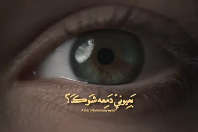 گلبي ينوح+الملا علي الساعدي  ، ، ، ، ، ، ، ، ، ، ، ، ، ، ، ، ، ، ، ، ، ، ، ، ، ، ، ، ، #viral  #fyp  #fypシ゚  #فُاطِم  #علي_الساعدي 