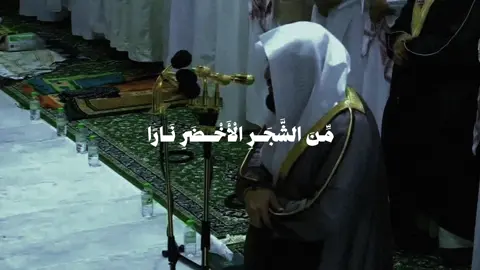 #بندر_بليلة 