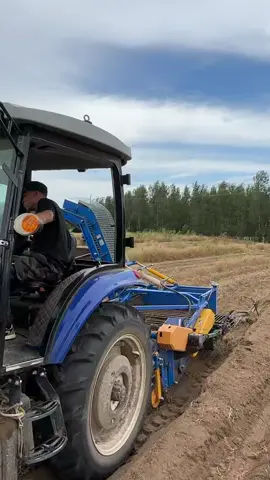Automatic on-board potato harvester/Agricultural machinery manufacturers produce#farmland #hongyou #tractor #Potato #sweetpotato #collector 