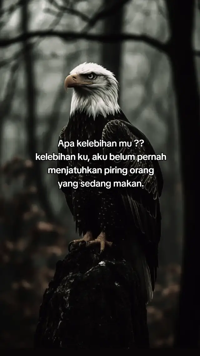 🫡🫡🌲🌲 #Eagle #🅰️ #pppppppppppppppp 