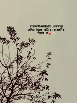 সত্যিকারের প্রেমিক ছিলো #foryou #foryoupage #fyp #creatorsearchinsights #viral @TikTok Bangladesh 