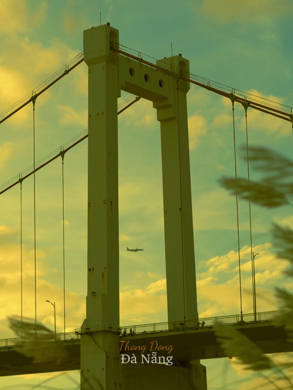 Mùa hoa cỏ lau dưới chân cầu Thuận Phước. #DaNang #travel #vibes  #DaNangChill #hoacolau 