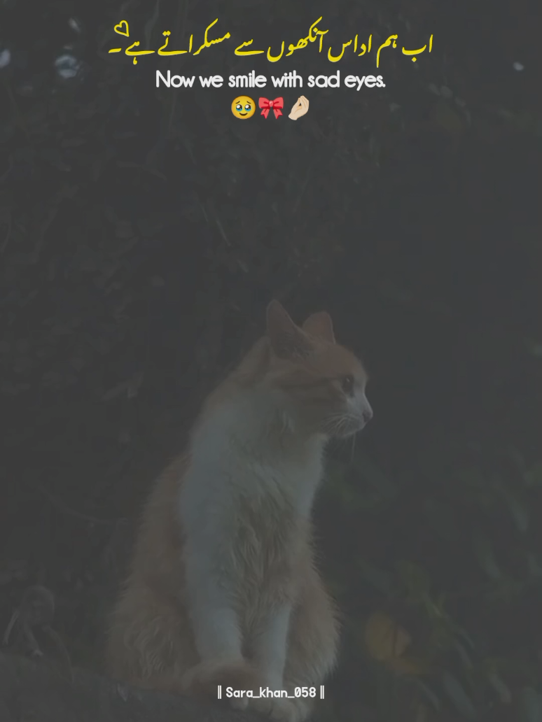 اب ہم اداس آنکھوں سے مسکراتے ہے Lines 🥺💔 . . . . | | relationship sad status video 😢 | | reposted request 🤌🏻🎀💓 #sad #hearttouching #lines #statusvideo #foryoupage @TikTok @tiktok creators @tiktok pakistan official 