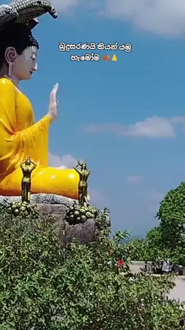 බුදුසරණයි කියන් යමු හැමෝම.වරදින්නෑ කාටවත් 🙏🍂#srilanka #🇱🇰 