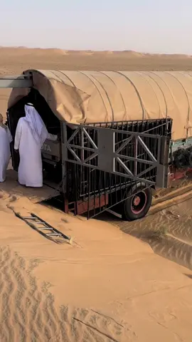 #tiktok #foryou #anime #foryourpage #fyp 