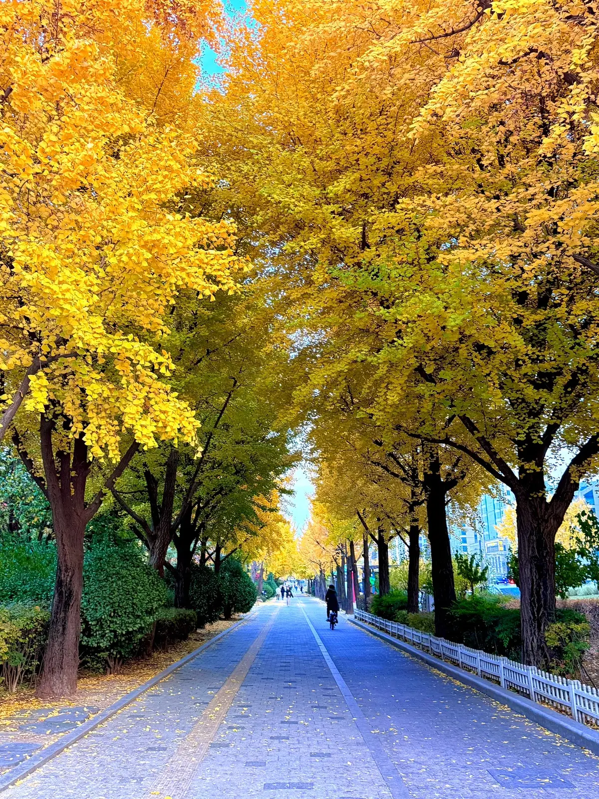 집에 너무 보고 싶어..